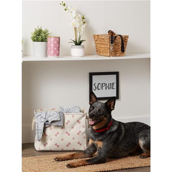Pet Storage Collection Paw and Bone Print, Small Rectangle, Rose - Picture 6 of 7